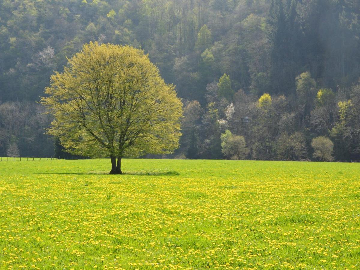 Independant Gite At The Calm Way In The Center Houffalize Exterior photo